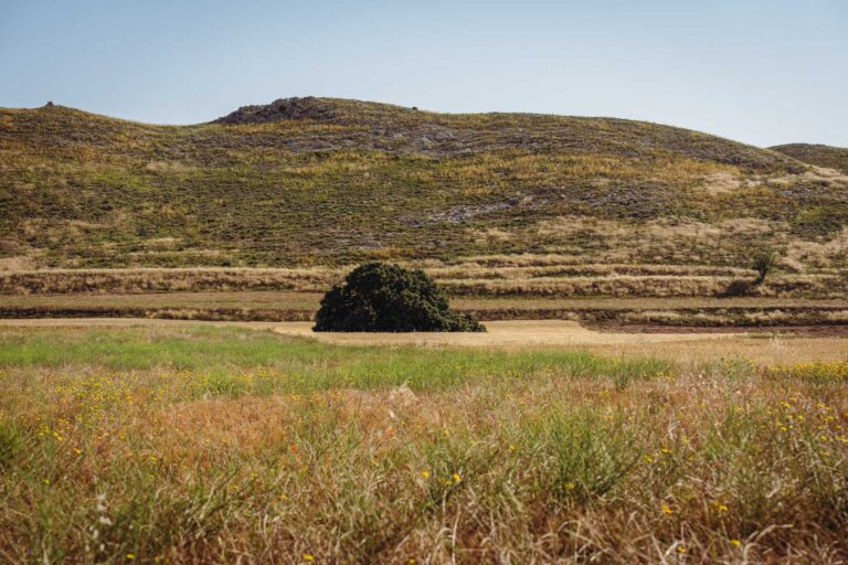 Carrasca de Blesa